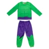 Hulk Long Sleeve Pyjamas Set For Kids 1 Hulk Long Sleeve Pyjamas Set For Kids -Disney 2405053070004M