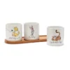 Winnie The Pooh And Friends Plant Pot Set -Disney 465042483752