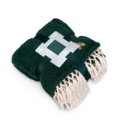 Fantasyland Castle Throw -Disney 465043673817 4