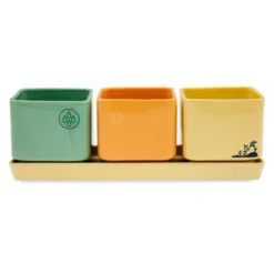 WALL-E And EVE Herb Planter Set -Disney 465043677044 3