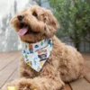 Pixar Holiday Bandana Set For Dogs 1 Pixar Holiday Bandana Set For Dogs -Disney 6504049220395M