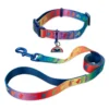 Mickey Mouse Pride Collar And Lead For Dogs -Disney 6504051700031M